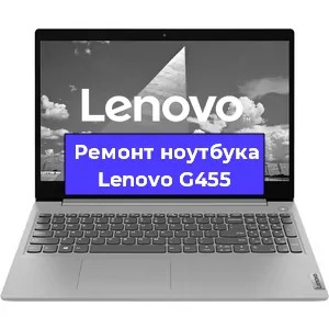 Замена матрицы на ноутбуке Lenovo G455 в Красноярске